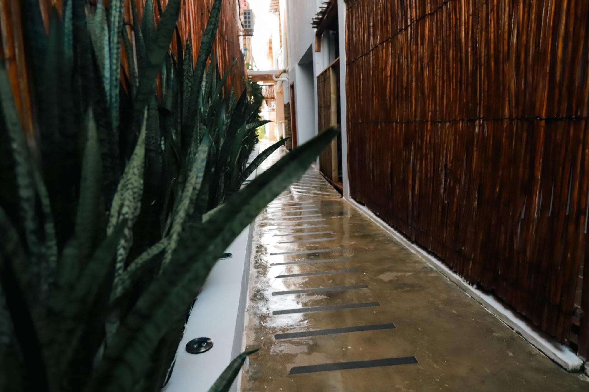Hostal Casa En La Cienaga Rincon Del Mar Buitenkant foto