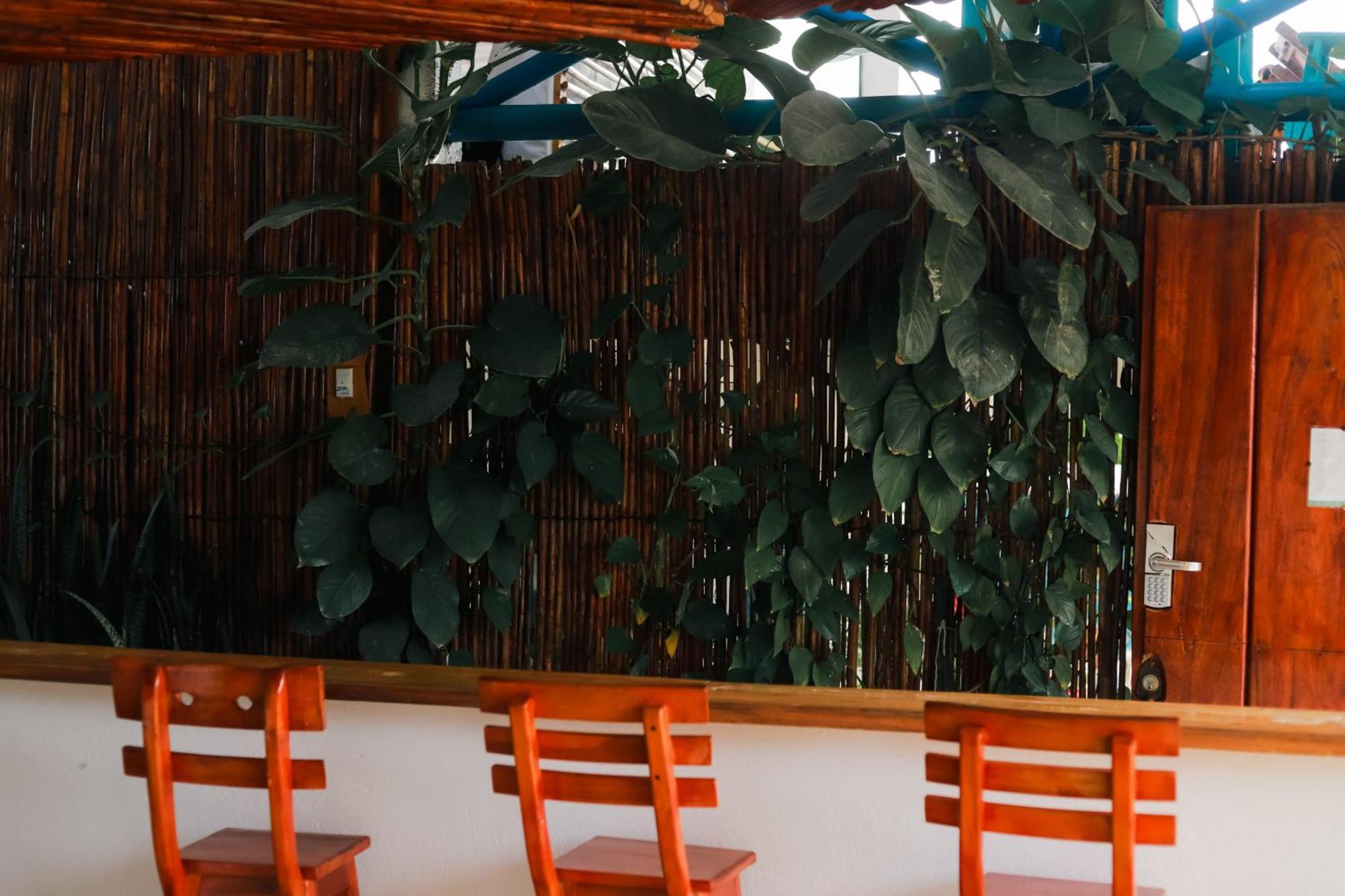 Hostal Casa En La Cienaga Rincon Del Mar Buitenkant foto